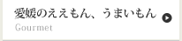愛媛のええもん、うまいもん